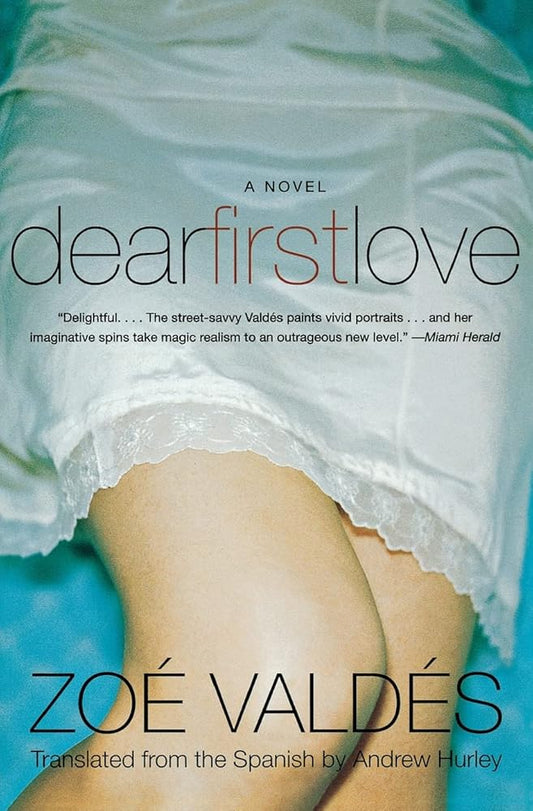 Dear First Love: A Novel cover image