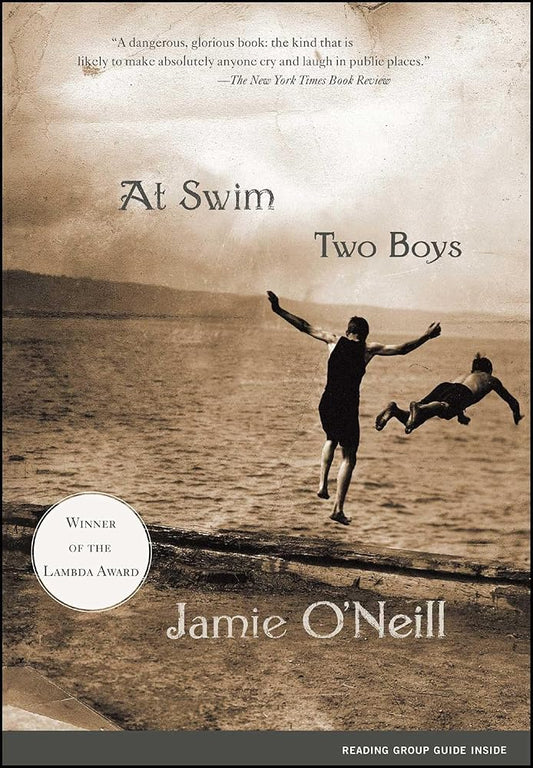 At Swim, Two Boys: A Novel (Award-Winning Fiction) cover image